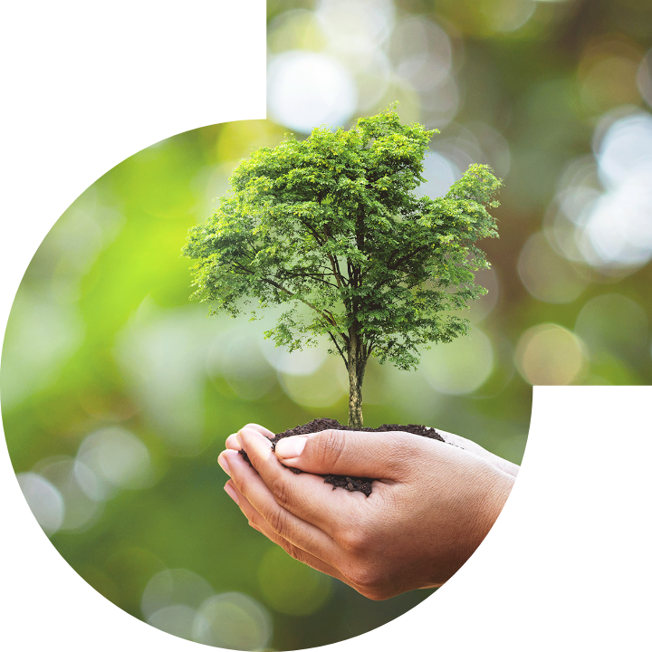 关怀人类、文化、环境与社会